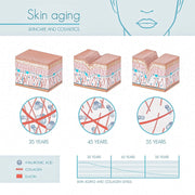 Skin aging infographic