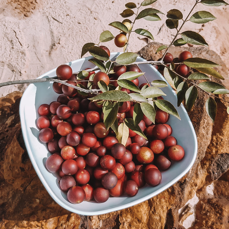 Camu camu fruits