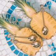 Costa Verde Pineapple Coffee Spoon